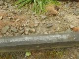 image of grave number 684053